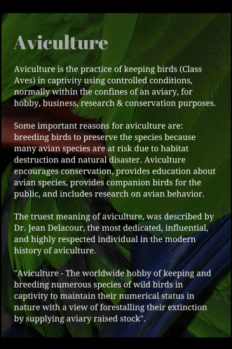 aviculture