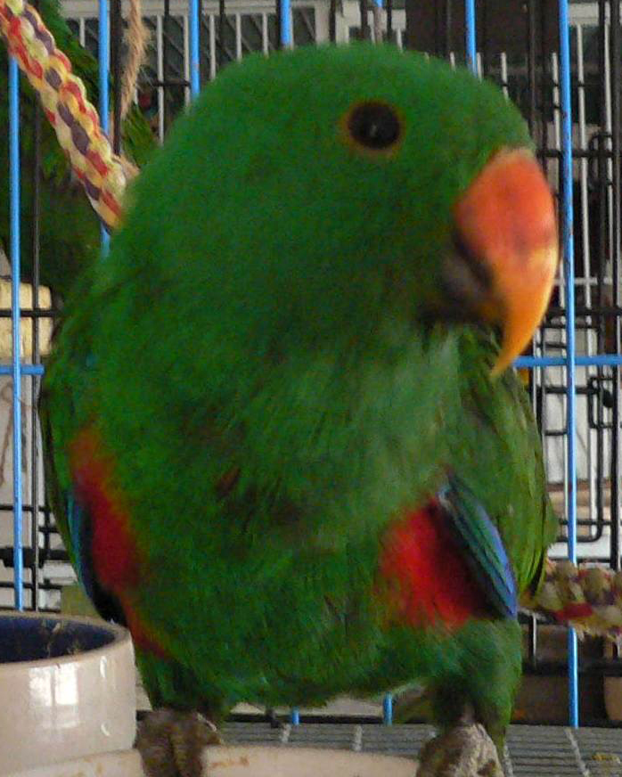 EDIT EPCredsidedMP1060489