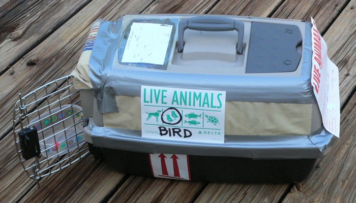 EDIT SHIPPINGcratebP1050281 (2)