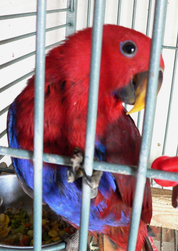 Edited EPCsolFP1060491